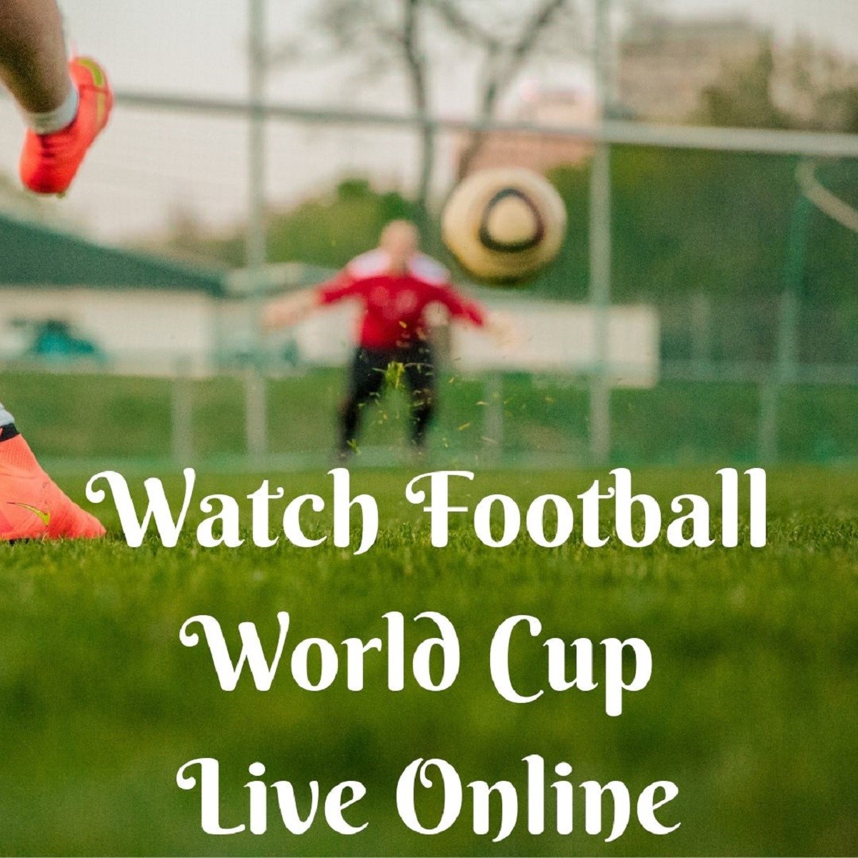 How To Watch FIFA World Cup Live Online