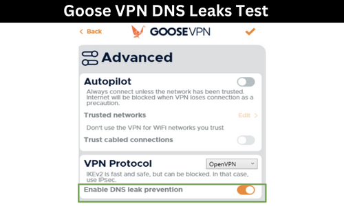 goose-leaks-test