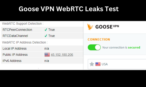 goose-webrtc-leaks