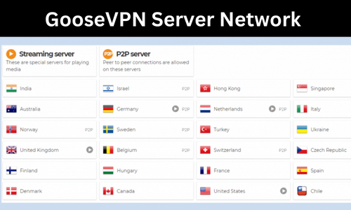 GooseVPN Server Network