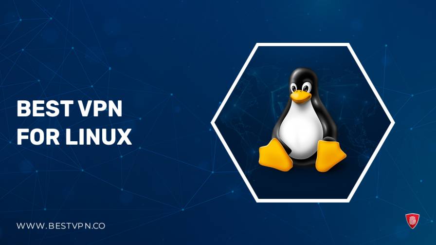 Best VPNs for Linux in USA [Updated 2024]