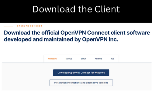 vpnbook-Download the Client