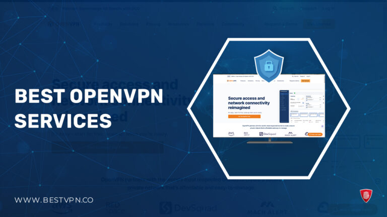 Best OpenVPN services - BestVPN