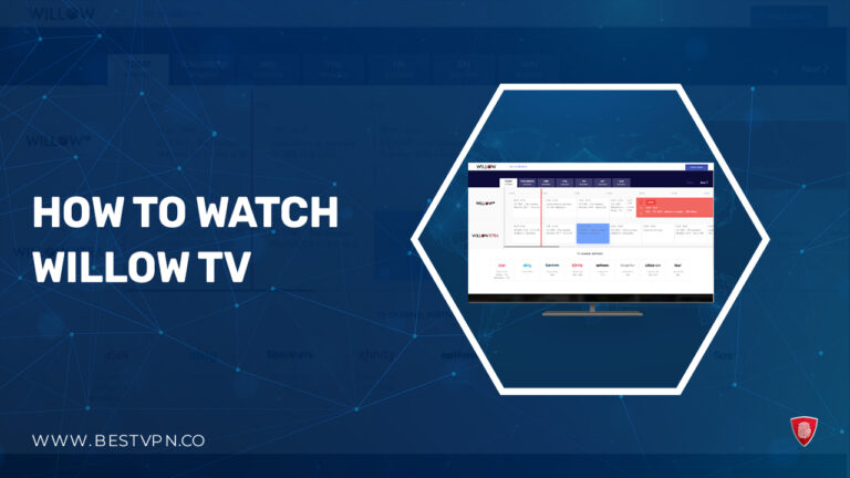 Watch-Willow-TV-in UAE
