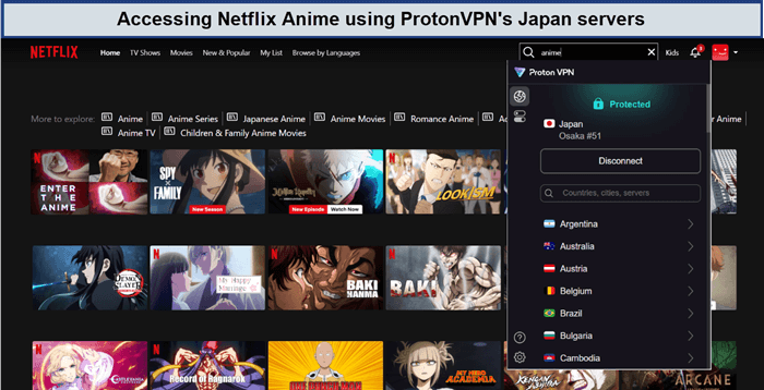 netflix-anime-in-USA-unblocked-protonvpn