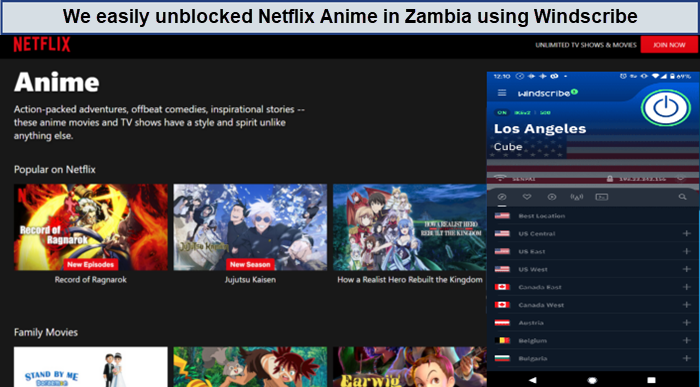 unblock-netflix-anime-windscribe-For France Users