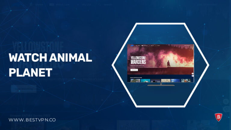 Watch-Animal-Planet-in-UK