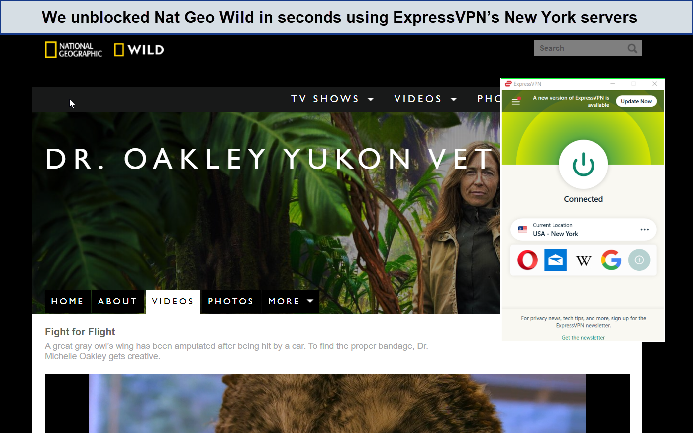 unblocked-Nat-Geo-Wild-using-ExpressVPN-in-Japan