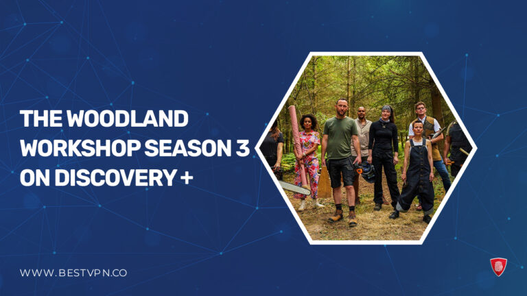 The Woodland Workshop Season 3 on DiscoveryPlus - in-UK
